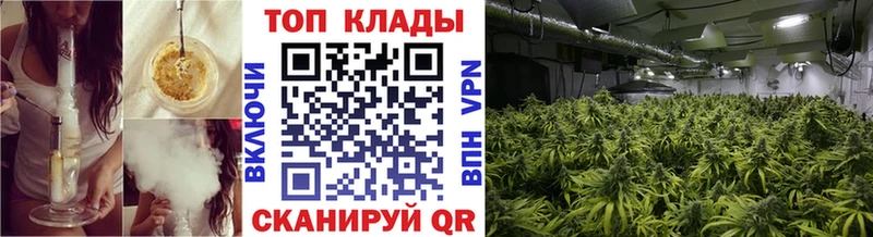 Где купить наркотики Ясногорск ГАШ  Галлюциногенные грибы  Альфа ПВП  Меф  Cocaine 