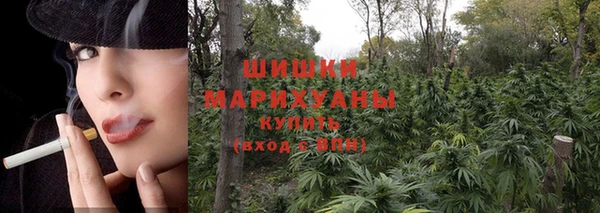 каннабис Арсеньев