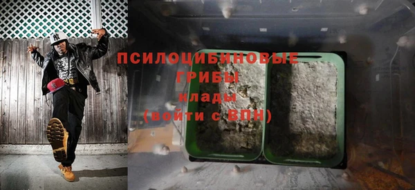 каннабис Арсеньев