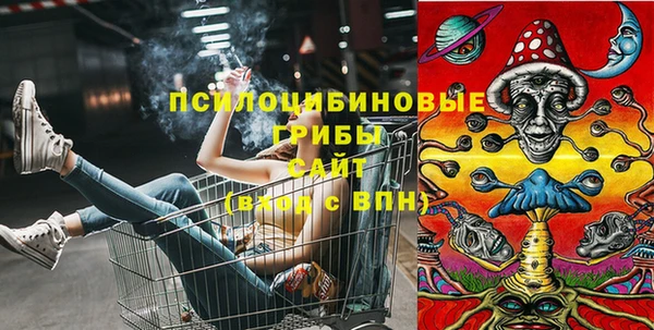 дживик Армянск