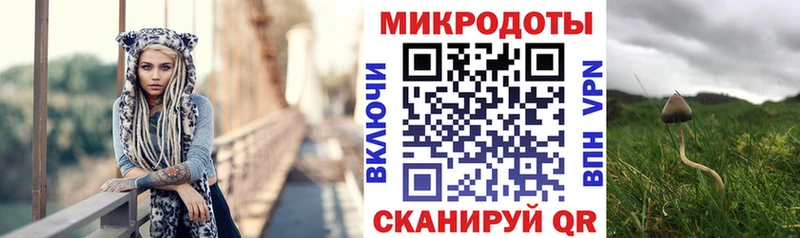 Псилоцибиновые грибы Psilocybine cubensis Ясногорск